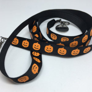 collar-mask ArtSkat PACK UNO HALLOWEEN CALABAZA